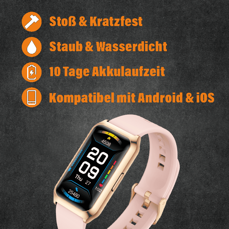 Nova Weihnachts Bundle